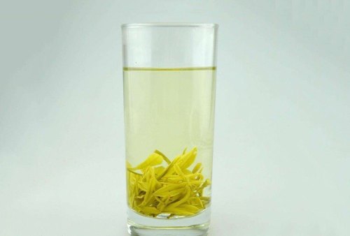 黄金芽茶功效及禁忌