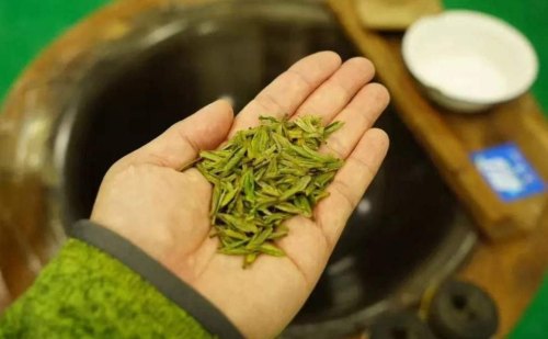 黄金芽茶功效及禁忌