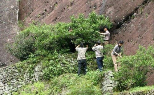 除了马头岩牛栏坑武夷山还有什么