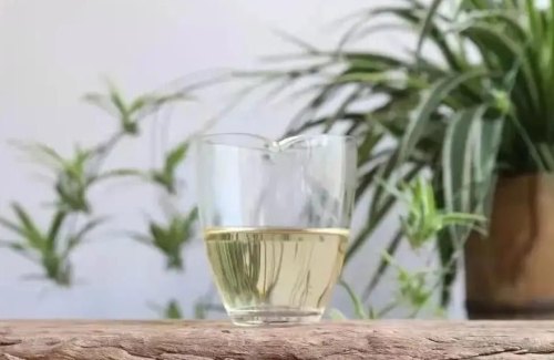 白牡丹散茶冲泡第一泡喝吗